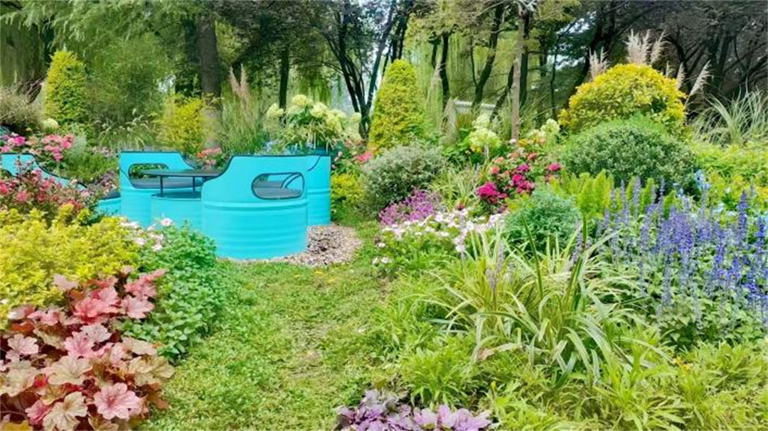 图片6.png 图片6.png